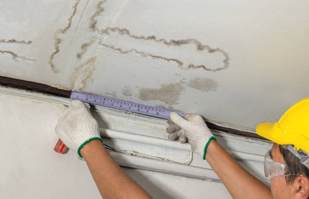 Reliable Burst Pipe Cleanup contractor in Upper Black Eddy, PA by Water Damage Irwin